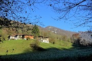 Alla ‘Madunina del Giong’ e ai Prati Parini ad anello da Botta di Sedrina il 12 nov. 2016 - FOTOGALLERY